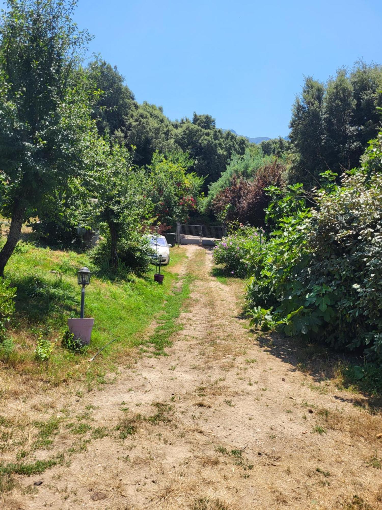 Ucciani Studio A La Campagne מראה חיצוני תמונה